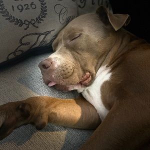 Meet your Posher, James